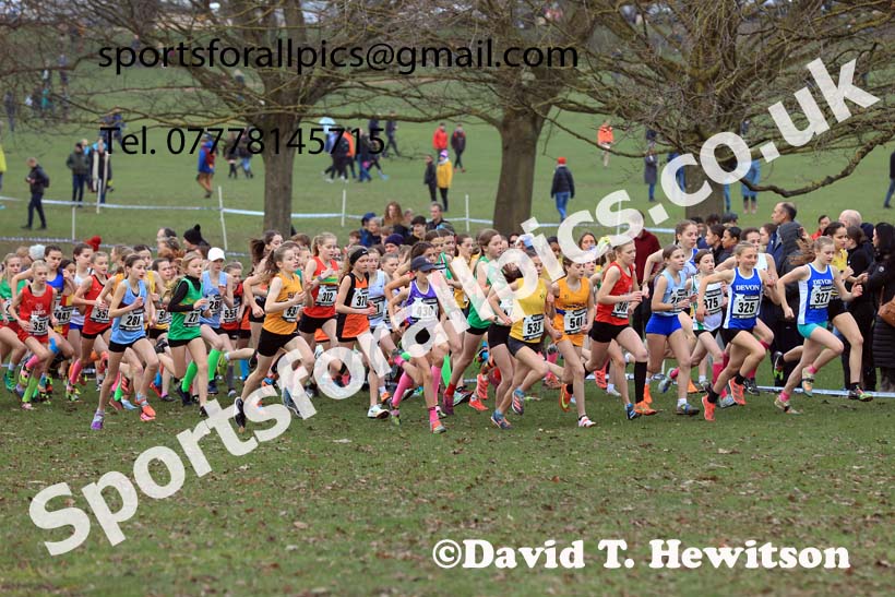 Girls Under-13s, 2024 CAU Inter Counties Cross Country Champs., Wollaton Park, Nottingham. Photo: David T. Hewitson/Sports for All Pics